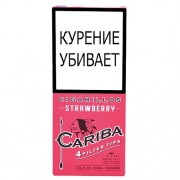  Cariba Wood Tip Strawberry - 1 